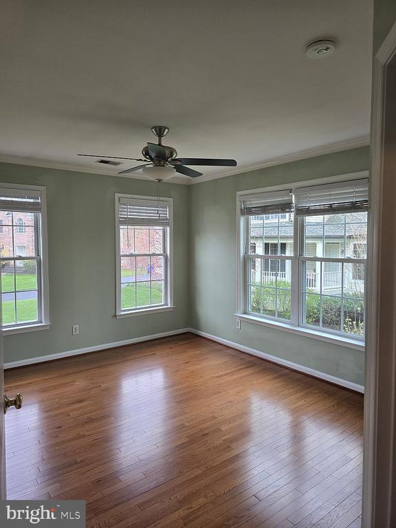 Building Photo - 3917 Edith Ct