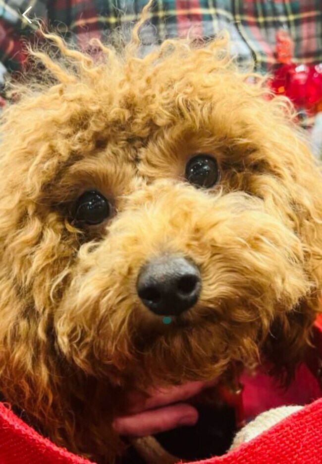 Building Photo - Nice two bedroom condo on one level in Hermitage