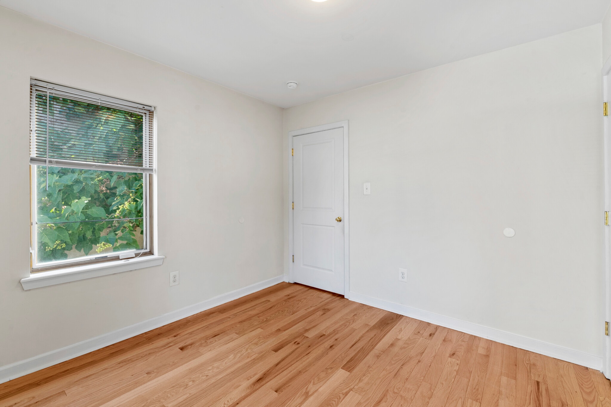 Building Photo - 1643 Fitzwater St