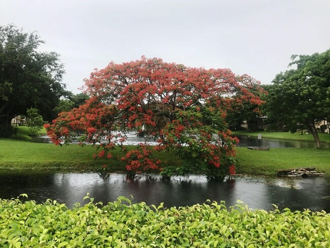 Building Photo - 1239 SW 46th Ave