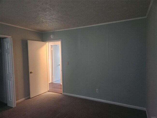 Building Photo - 3706 Jasmine Hill Rd