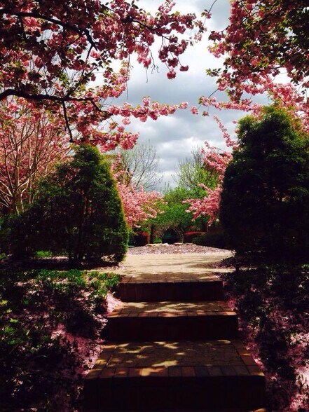 Building Photo - 24 S Old Glebe Road