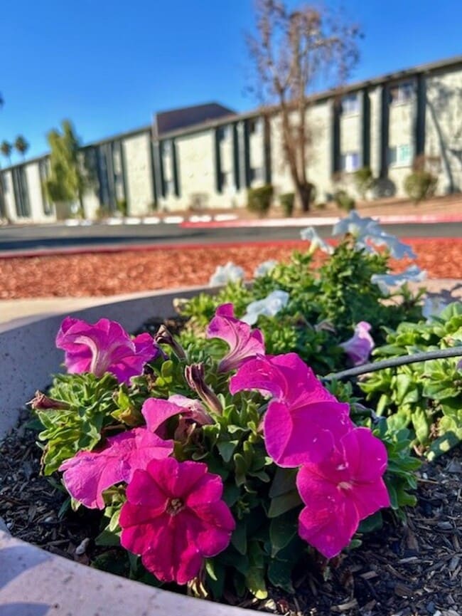 Building Photo - Buenas on 32nd