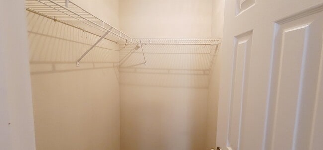 Building Photo - 2300 Timber Oak Ln