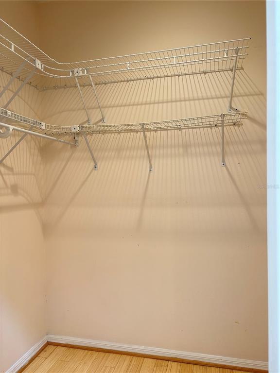 Building Photo - 2338 Tami Sola St