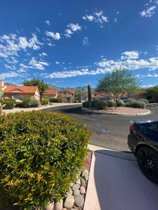 Building Photo - 5249 N Adobe Cir