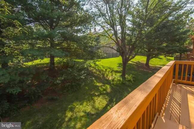 Backyard - 5519 Stroud Ct