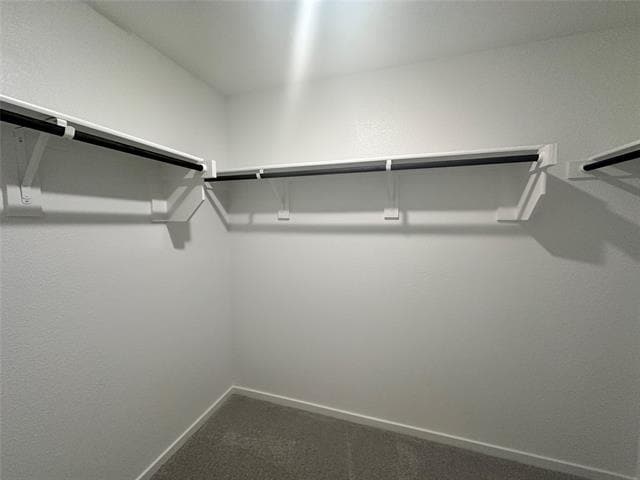 Building Photo - 1036 Calley Pear Trl