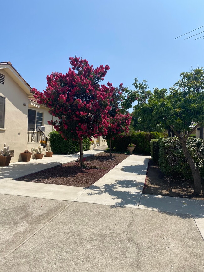 Beautiful grounds - 1611 S Atlantic Blvd