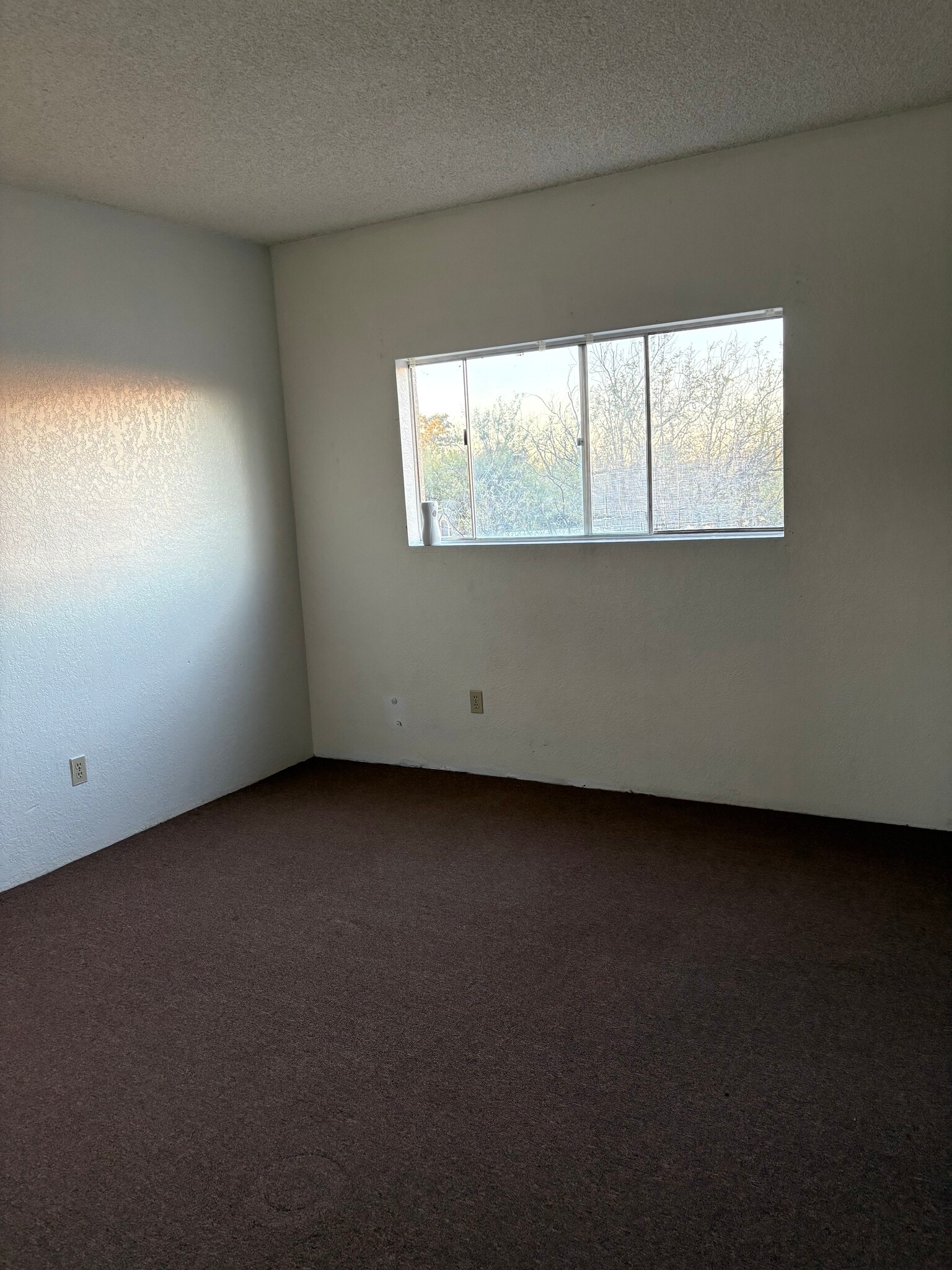 Building Photo - 433 Avenida Garza