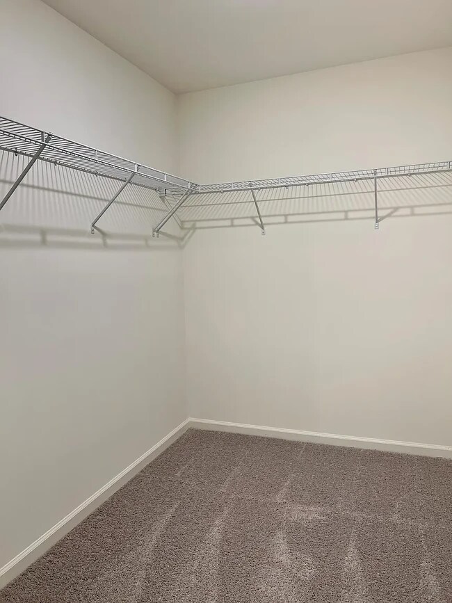 Building Photo - 3537 Cardinal Dr