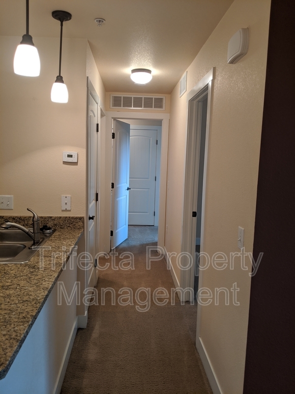 Building Photo - 2445 Windrow Dr