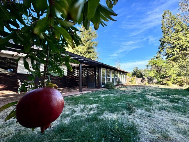 Building Photo - Gorgeous .5 acre lot in Auburn