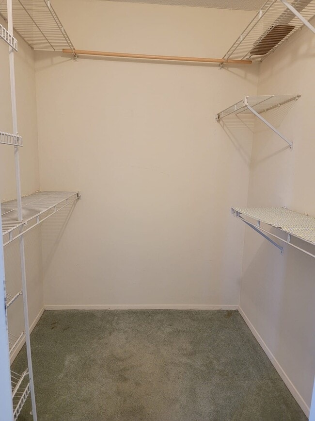 Walk in Closet - 205 Mineola Blvd