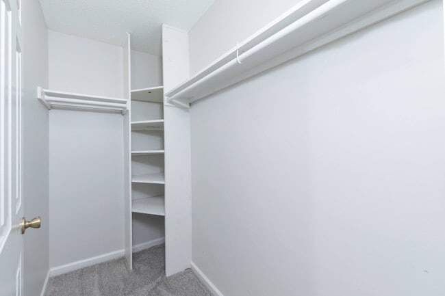 Building Photo - TWO ENSUITES!