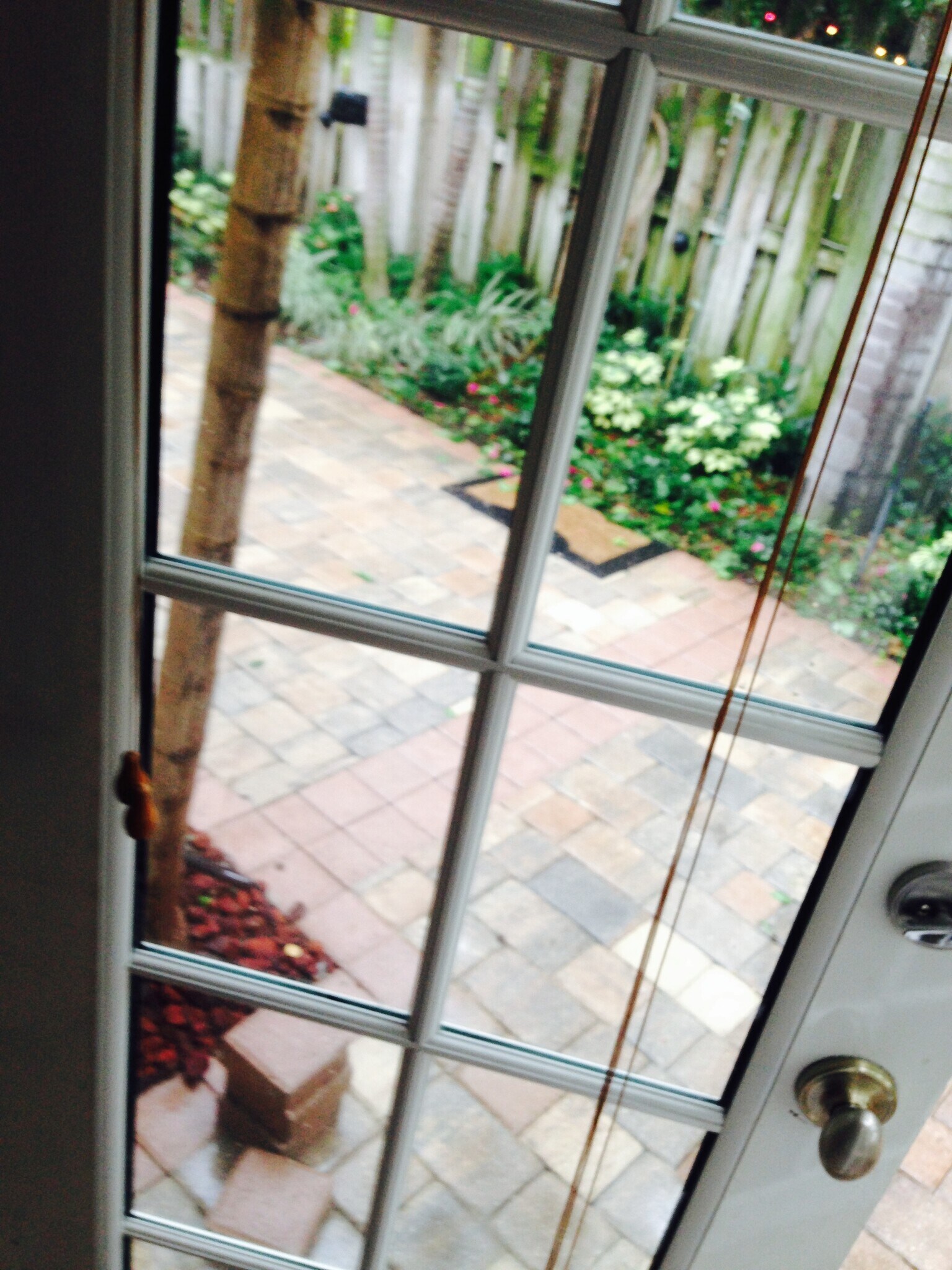 Building Photo - 1008 NE 11th St - Side Unit