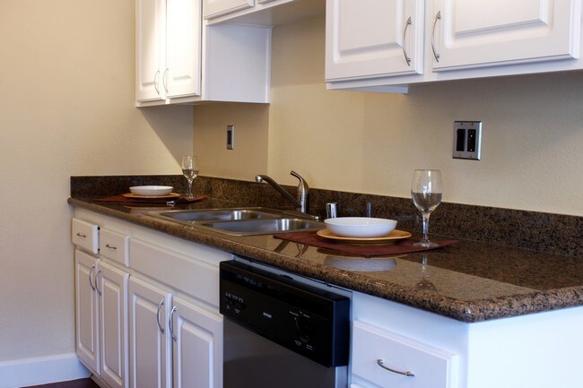 Granite Counter Top - Scott Road Terrace Apartments
