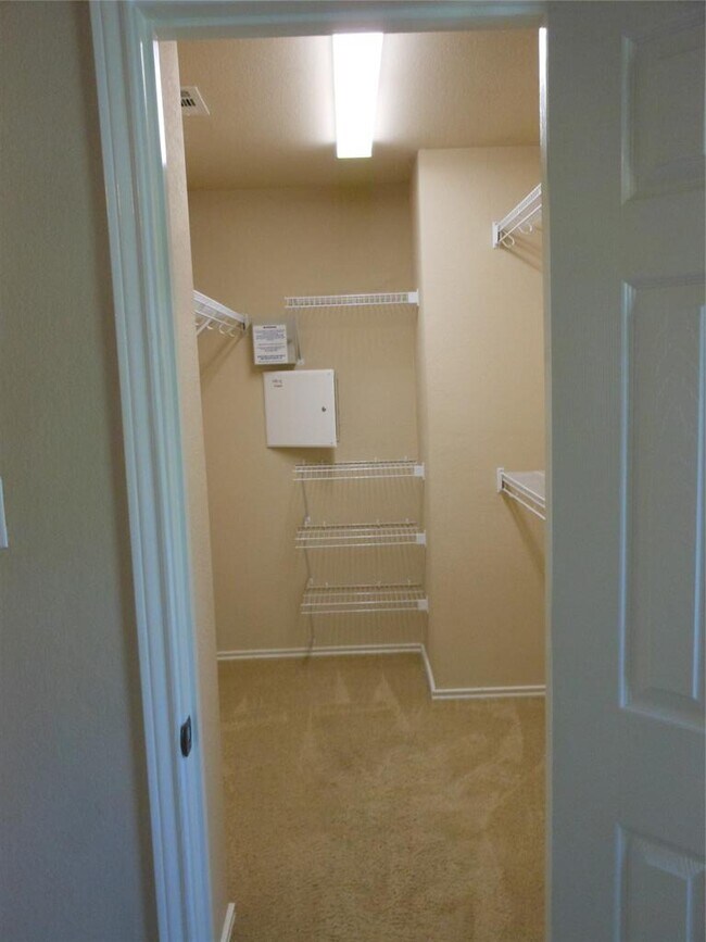 Building Photo - 40 Cypress Knee Ln