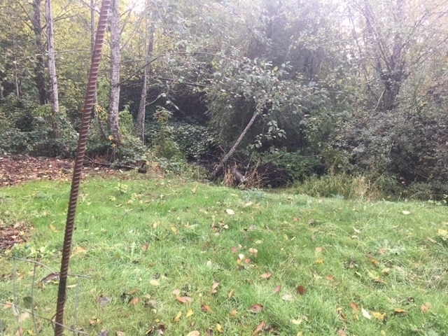 Building Photo - 3 Bedroom 1 Bath Home on large lot in Cascade Locks, OR