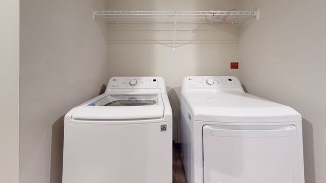 Building Photo - Brand new 6 bed 3 bath in Dinkytown