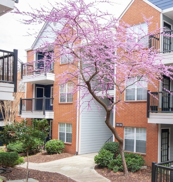 Brookwood Valley Atlanta, GA Apartment Finder