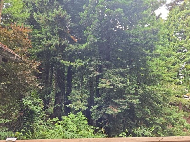Building Photo - Pet Friendly! Redwood views! 3-bedroom hom...
