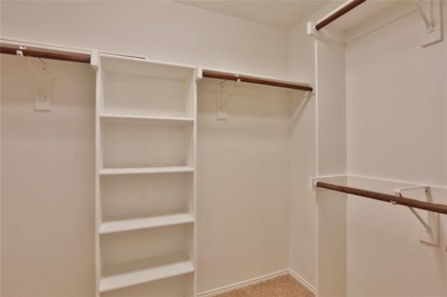 Building Photo - 6224 Dark Forest Dr