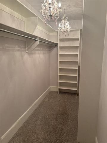 Building Photo - 1016 Frost Hollow Dr