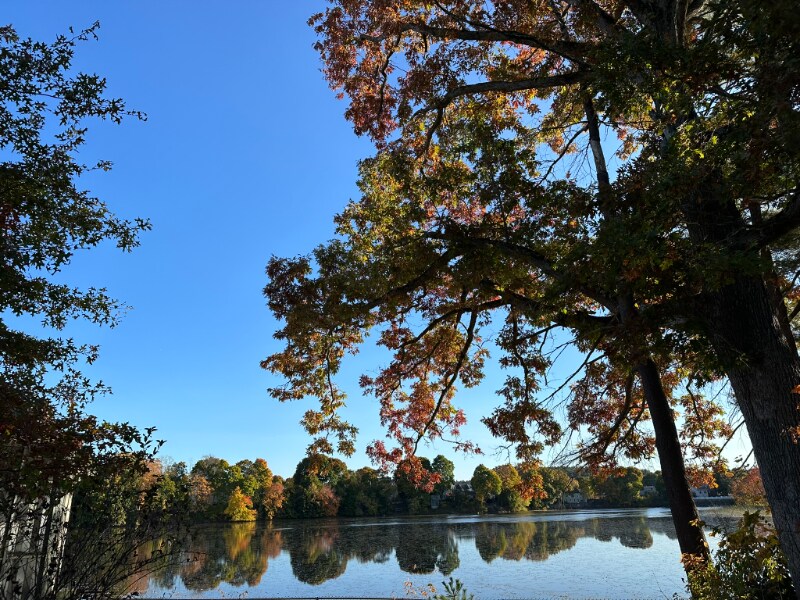 Building Photo - 98 Linwood St