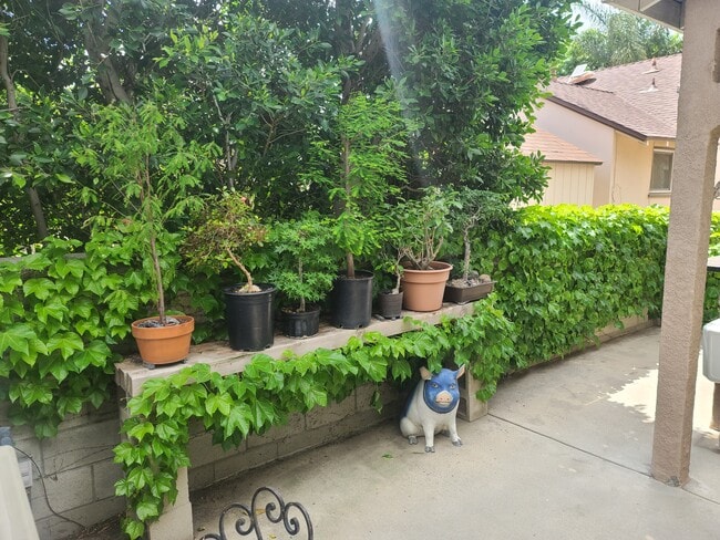 Patio - 7012 Aldea Ave