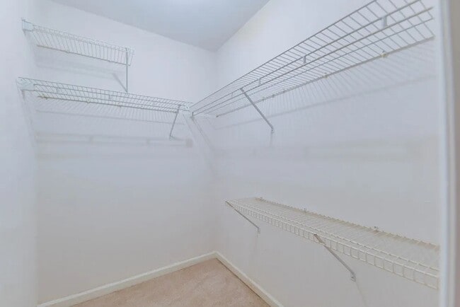 Building Photo - 2303 La Rue Ct