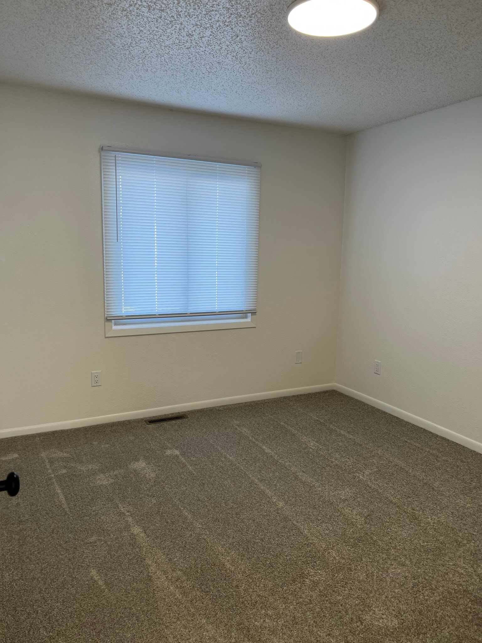 Building Photo - 5324 Jennifer Dr