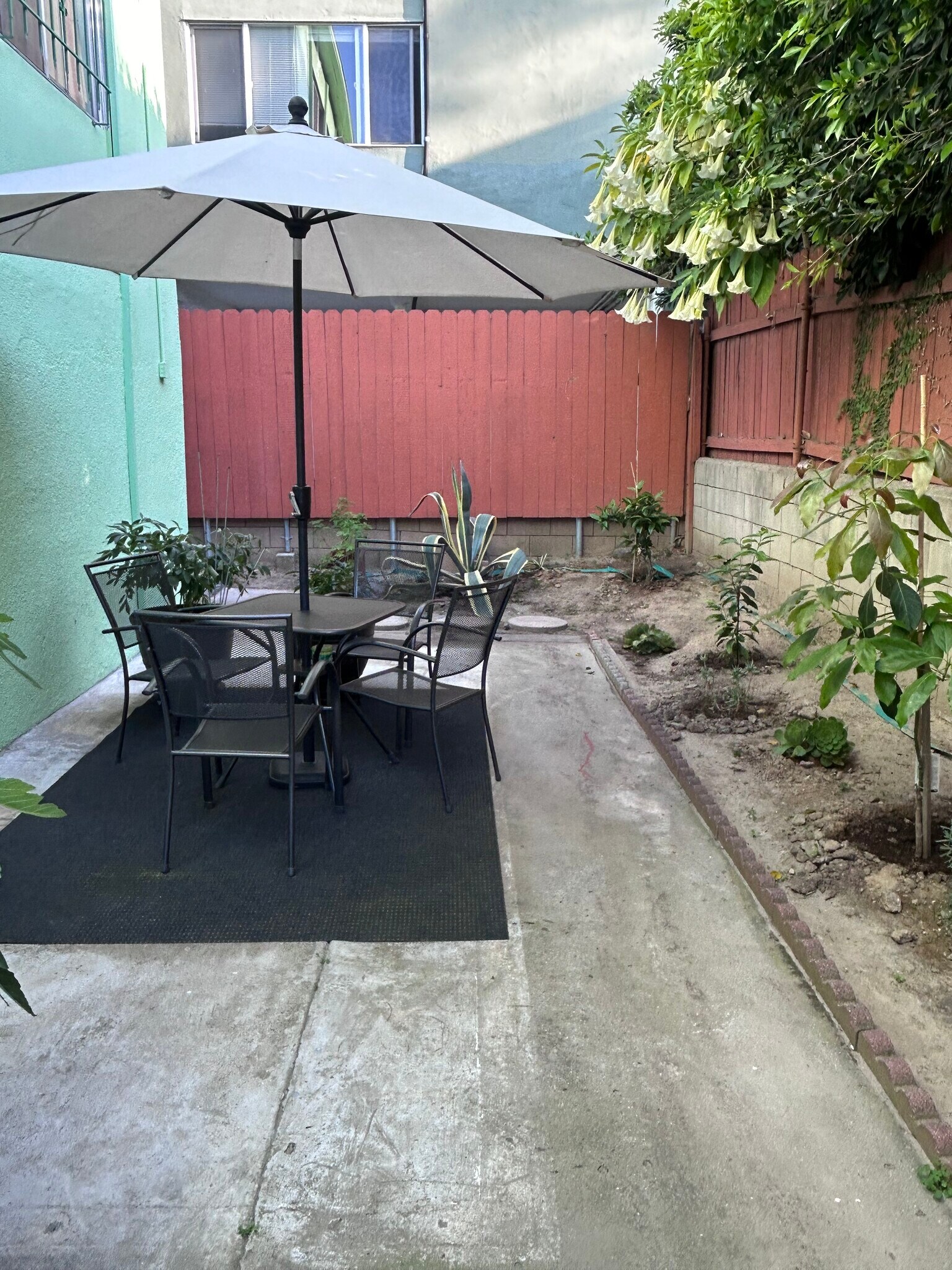 Shared backyard patio area - 2359 Glendale Blvd