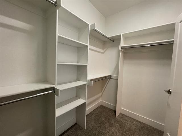 Building Photo - 4910 Live Oak St