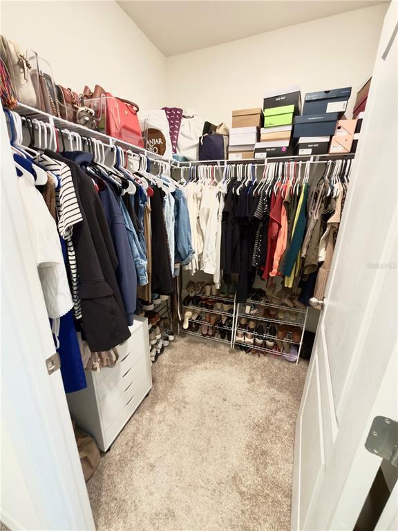 Building Photo - 512 Lily Ln