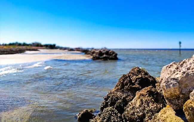 Building Photo - 5709 Silver Sun Dr