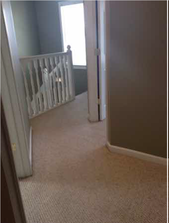 Building Photo - 3 bedroom, 2.5 bath Townhouse: Oaklawn Park!