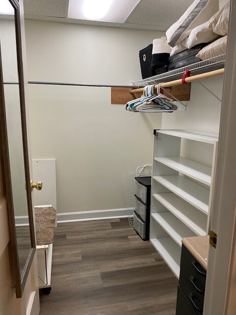 spacious closet - 28 S Riversong Ln