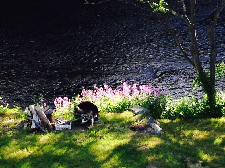 Rivers edge - 6201 NY-42