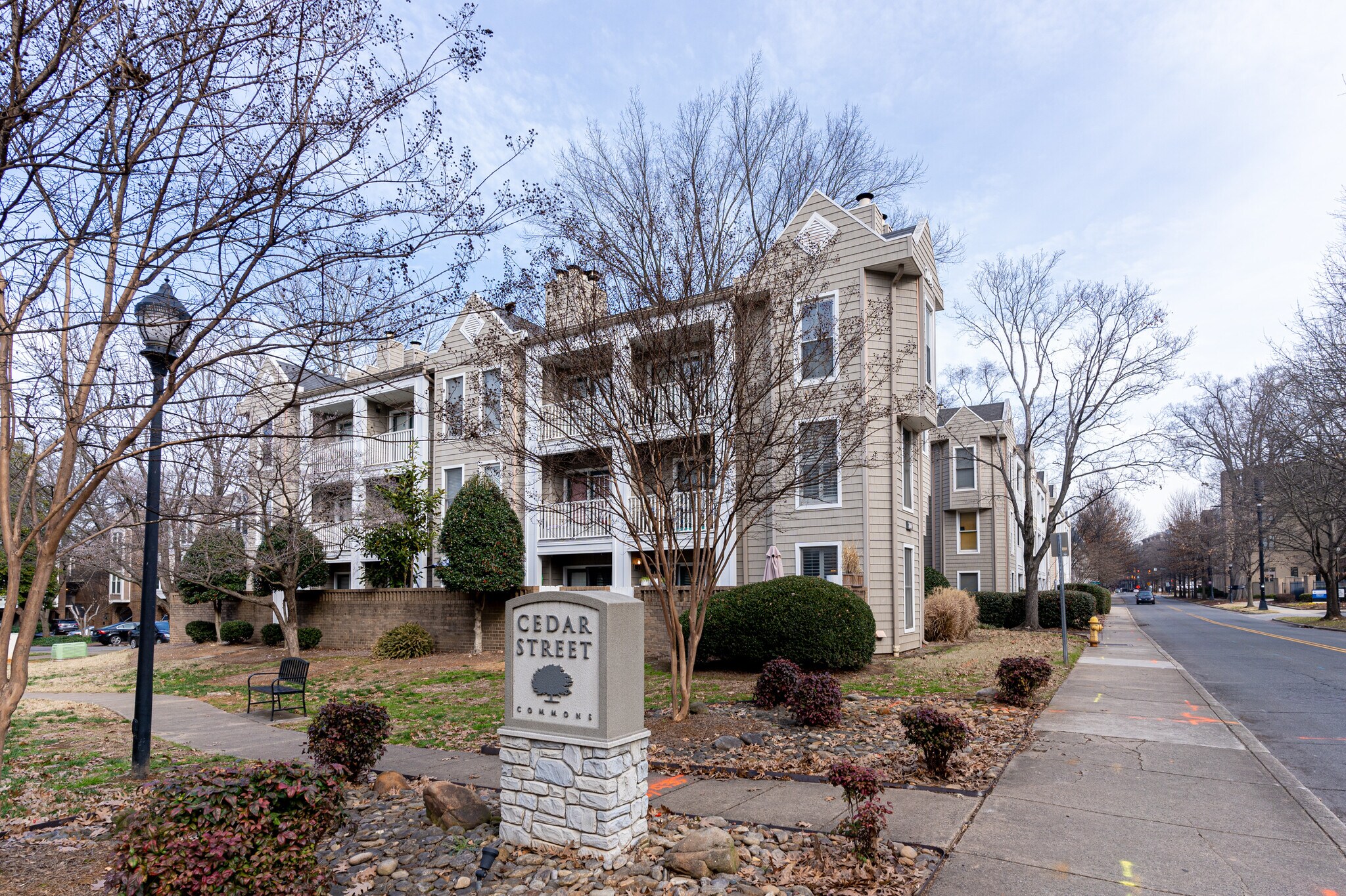 Terrace view - 244 S Cedar St