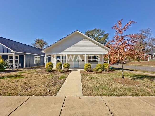 Building Photo - Brand New 3-Bed, 2-Bath Home in East Lake