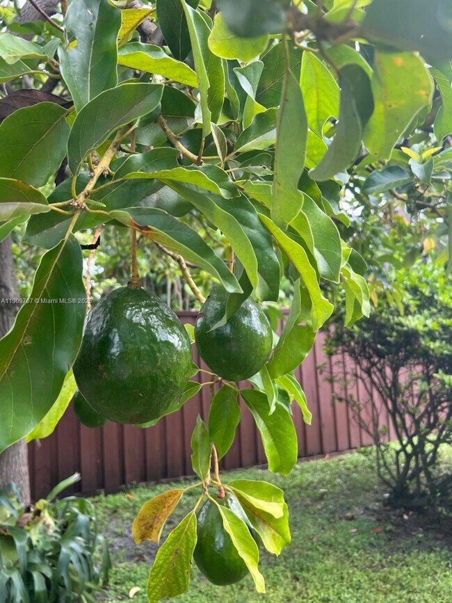 Building Photo - 2001 N 41st Ave