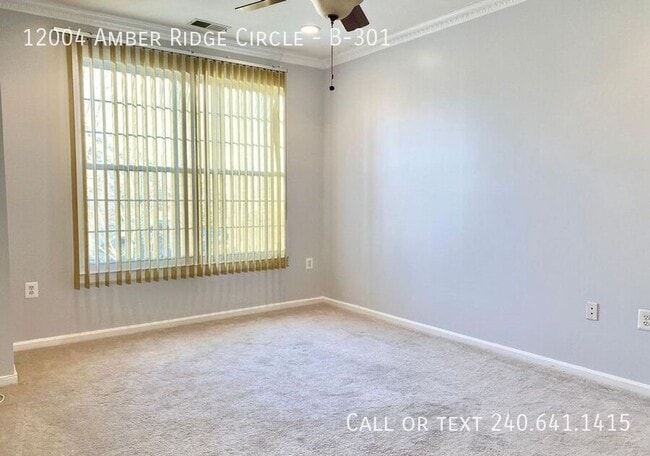 Building Photo - 12004 Amber Ridge Cir