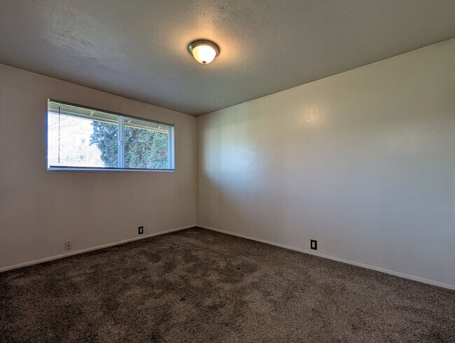 Building Photo - Great 3-Bed/1-Bath Home In Santa Clara Area!