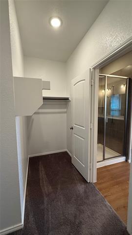 Building Photo - 721 McAdoo Dr