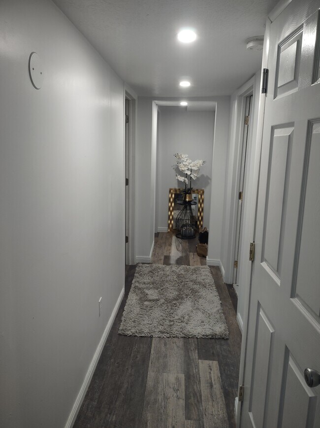 Hallway - 11257 S Cedar View Cir