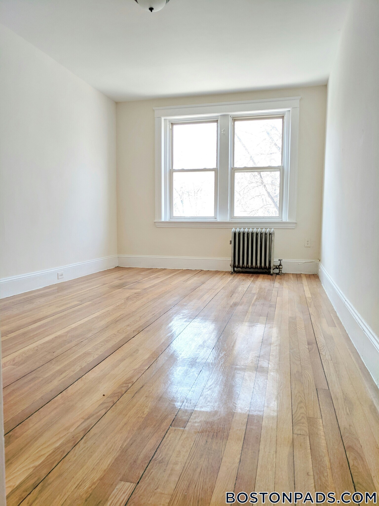 Building Photo - 241 Freeman St