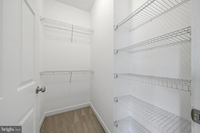 Building Photo - 8921 Amelung St