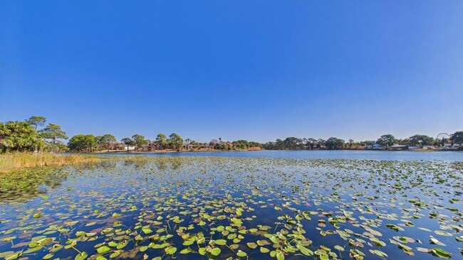 Building Photo - 301 Lullwater Dr