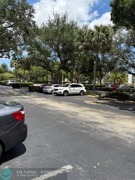 Building Photo - 1811 Sabal Palm Dr
